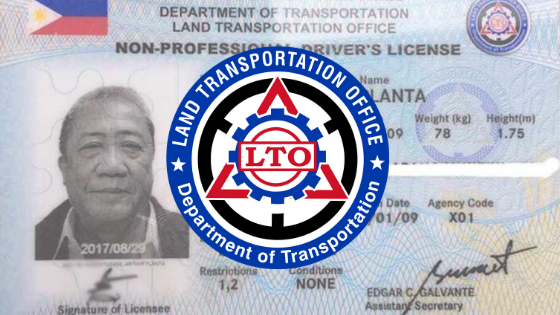 Renew Driver's License